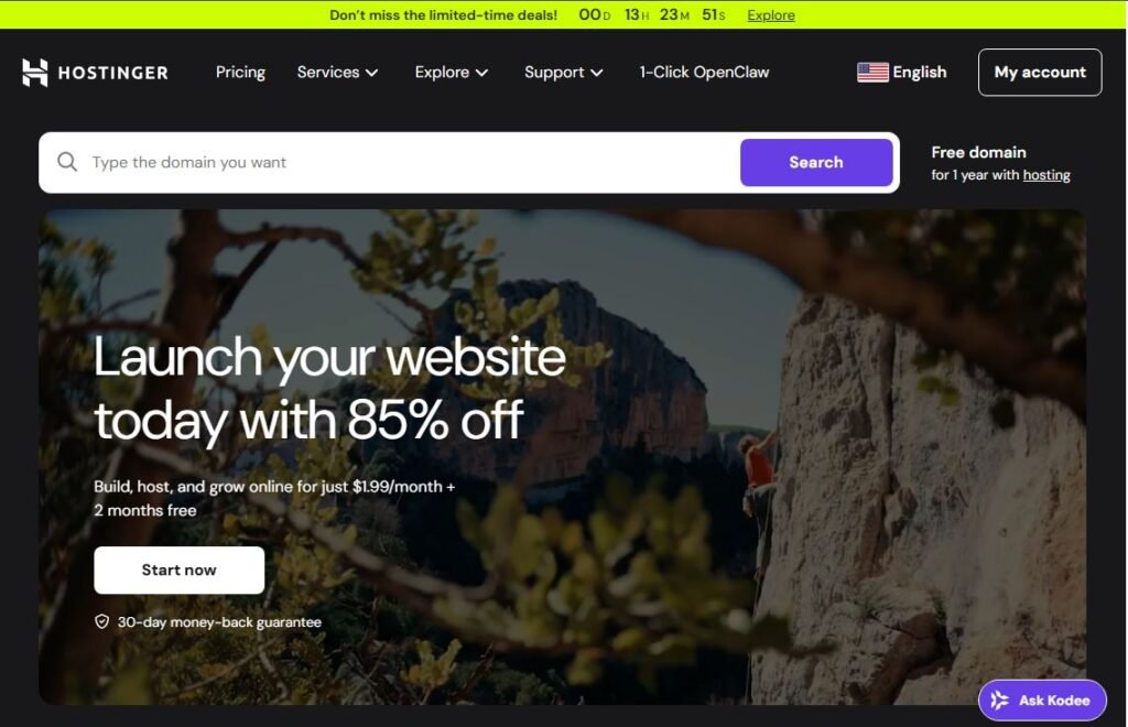 Hostinger control panel dashboard for B2B SaaS hosting management